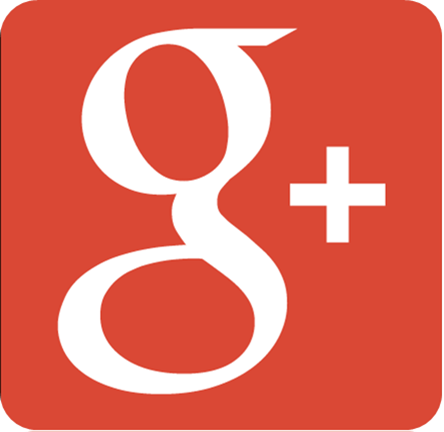 Google+ icon